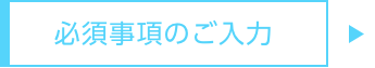 必要事項のご入力