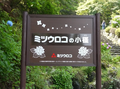 ミツウロコの小径　画像1