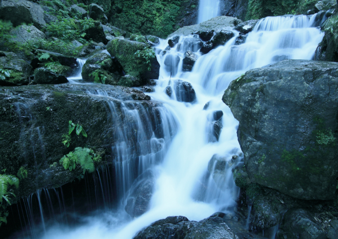 採水